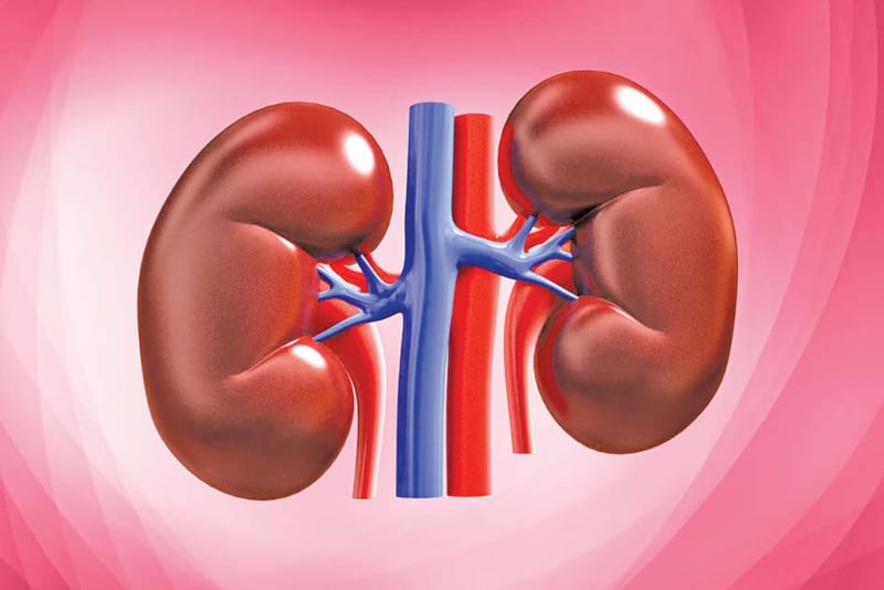 बढ्दै मिर्गौला बिरामी