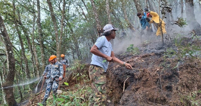 रानीवनमा लागेको डढेलो नियन्त्रणमा