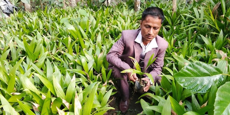 सफलताका कथा : जीवनको तस्बिर बदलेका उद्यमी भीमबहादुर