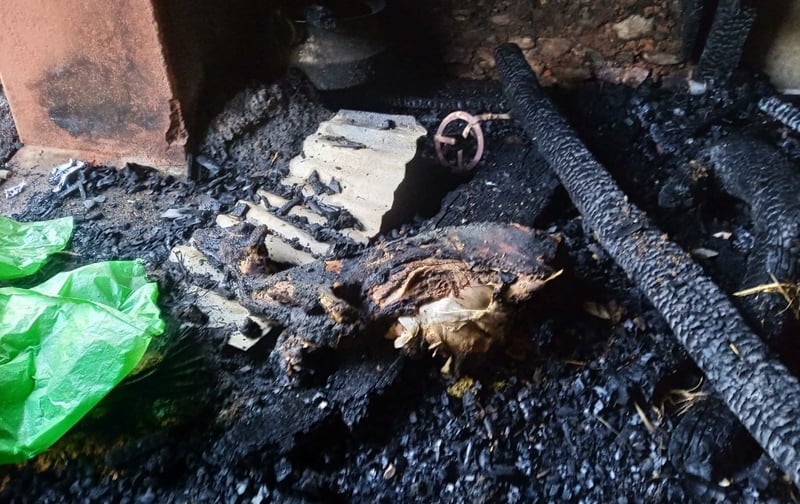 आगलागीबाट गोठ जलेर नष्ट, दुई चौपाया मरे