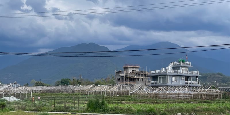 आलु उत्पादन घट्न नदिन कृषक प्रोत्साहन र अनुदानका कार्यक्रम