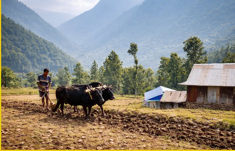 सरकारले मेरो बुवालाई चिनाेस्
