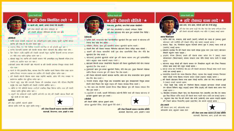 देश बहुभाषिक, घोषणापत्र नेपालीमा मात्रै !