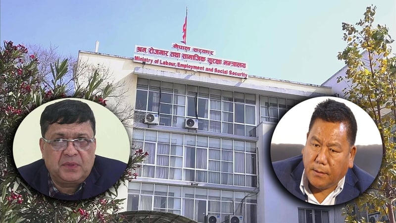 फ्री भिसा, फ्री टिकट पुनरावलोकनको गृहकार्य