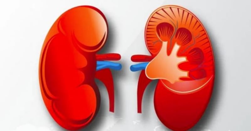 विश्व मृगाैला दिवस आज नेपालमा पनि विभिन्न कार्यक्रम गरी मनाइँदै