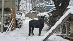 उपल्लो डोल्पाका गाउँ जहाँ ६ महिनाका लागि पिठो पिसेर राखिन्छ