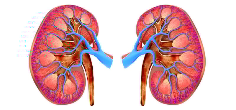 ‘वर्षमा एकपटक सबैले मिर्गाैला जाँच गरौं’