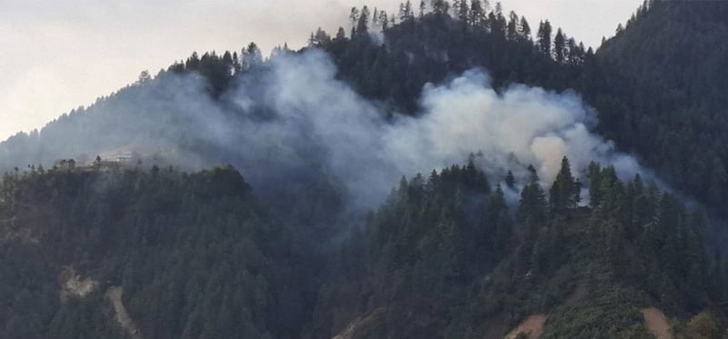 डढेलो नियन्त्रण गर्न स्वयंसेवक