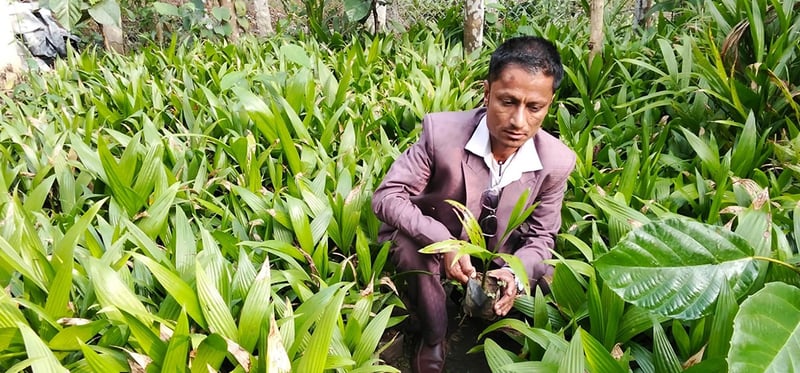 सफलताका कथा: जीवनको तस्बिर बदलेका उद्यमी भीमबहादुर