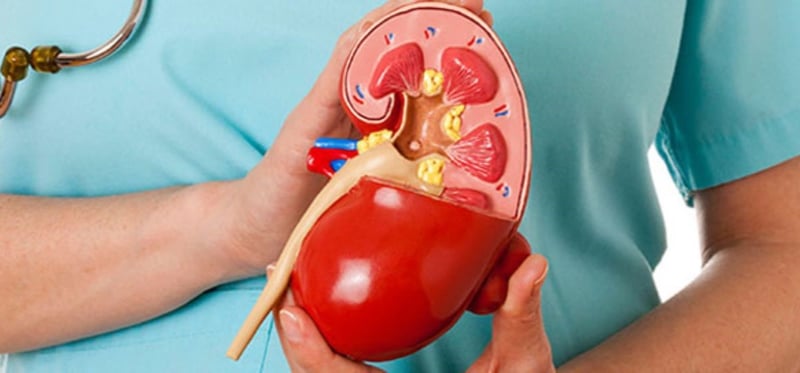 मिर्गौला जोगाउने उपाय के ?