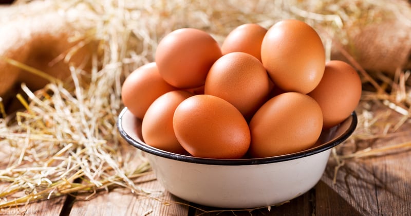 अण्डाको मूल्यमा भारी गिरावट