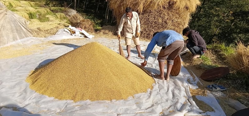 २८ अर्बको धानचामल आयात