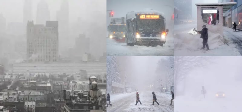 अमेरिकामा भारी हिमपात : ११ हजार उडान रद्द, ६ लाख बढी घरमा बिजुली आपूर्ति बन्द