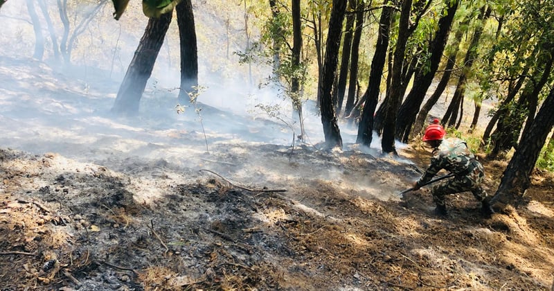 केउरानी वनको डढेलो नियन्त्रणमा