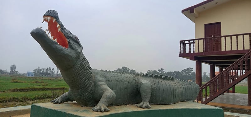 टिकटकरका लागि नयाँ गन्तव्य ‘गोहुवा’