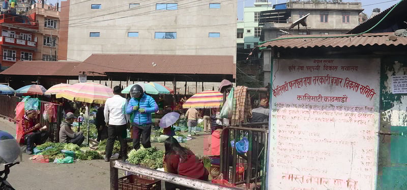 यस्तो छ आजका लागि कृषिउपजको थोक मूल्य