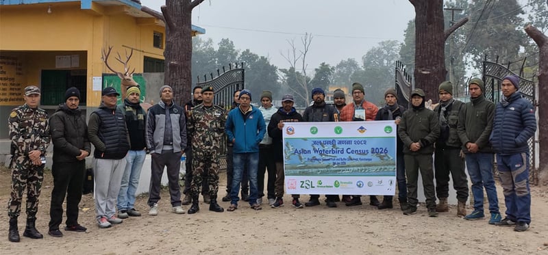 कञ्चनपुरमा जलपन्छी गणना सम्पन्न, नतिजा केही दिनमै आउने