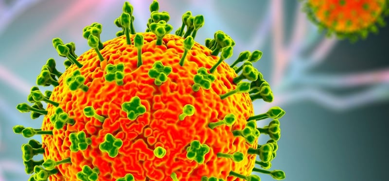 निपाह भाइरसको जोखिम न्यून भए पनि सतर्क रहन स्वास्थ्य मन्त्रालयको आग्रह