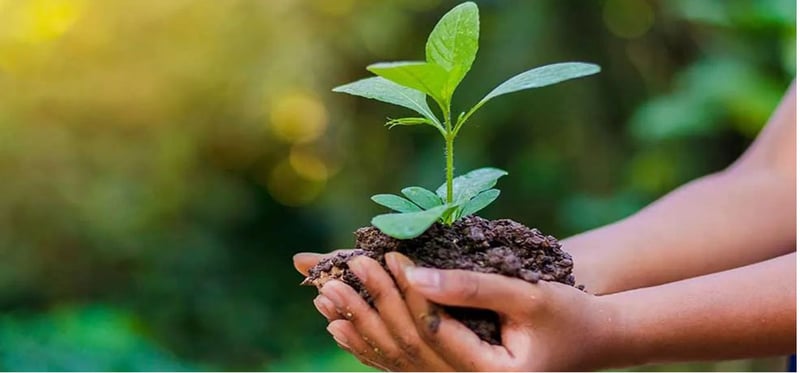 परम्परागत प्रविधिमा ध्यान दिने कि?