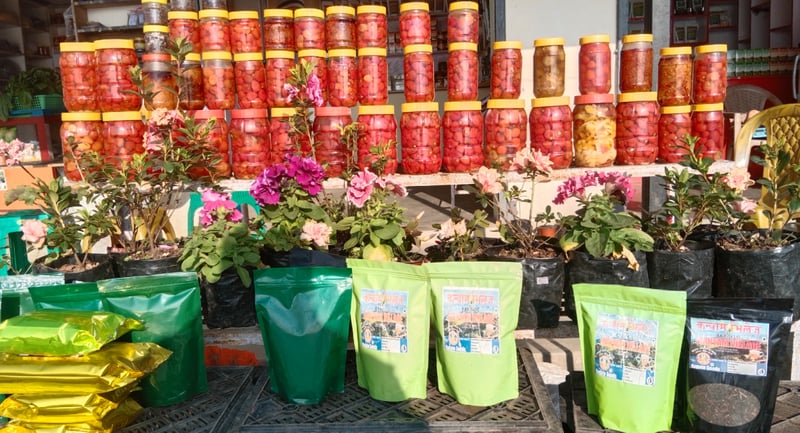 जहाँबाट ‘कोसेली’ नबोकी फर्किन्नन् पर्यटक