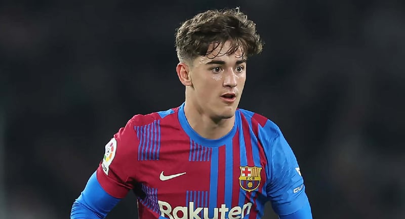 मैदानमा फर्किँदै गाभी