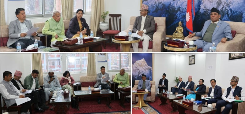 सांसदहरुको कार्यविभाजन गर्ने तयारी