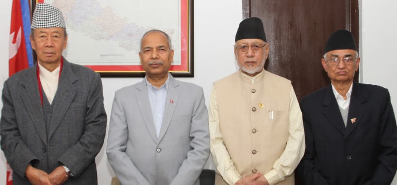 उपराष्ट्रपति यादवसँग प्रदेश प्रमुखहरूको भेट