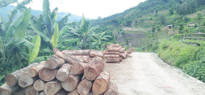 सिरिजङ्गामा चार दिन गोलिया ढुवानी बन्द