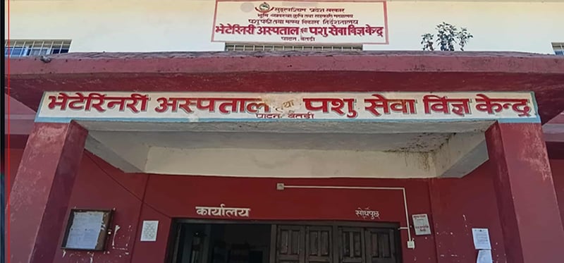 भेटेरिनरी अस्पताल सत्र महिनादेखि चिकित्सकविहीन
