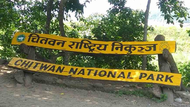 राप्ती र नारायणीमा भेटिए नौ भाले घडियाल