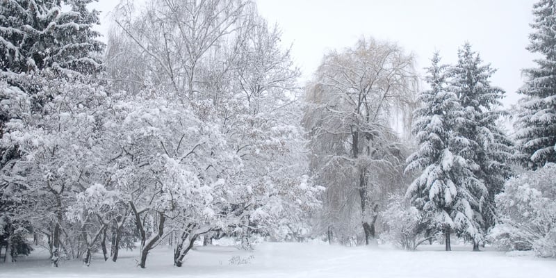 हिमपातका कारण बोस्नियाको उत्तरपश्चिम क्षेत्रमा ५० हजार मानिस अन्धकारमा