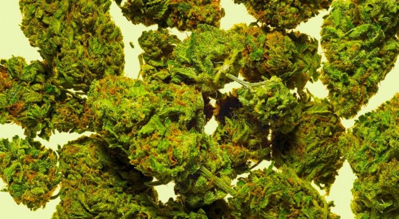 महोत्तरीमा कार सहित १०९ किलो गाँजा प्रहरीको नियन्त्रणमा,चालक फरार