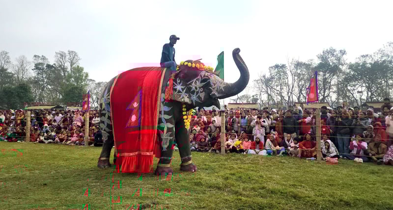 चितवनको पर्याय बन्दै ‘हात्ती तथा पर्यटन महोत्सव’