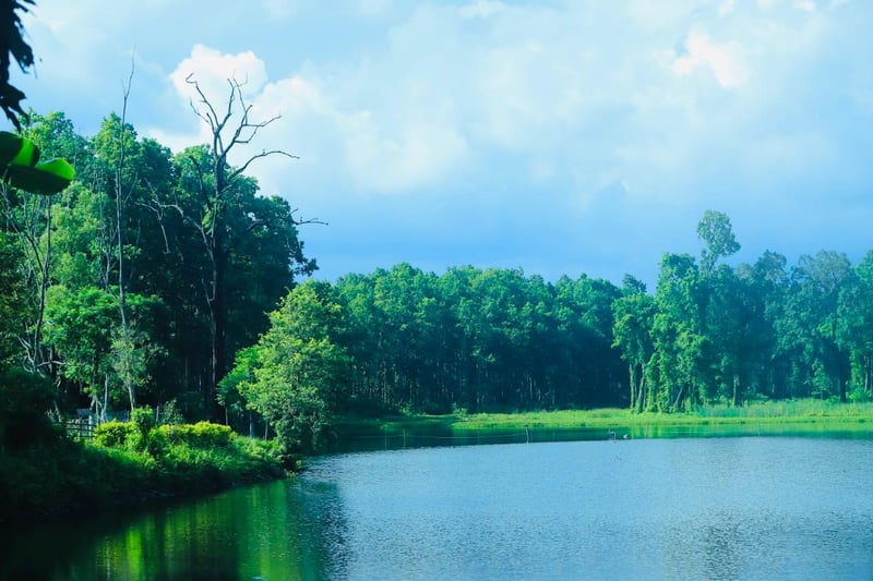 पर्यटकको रोजाइमा वेतना सिमसार