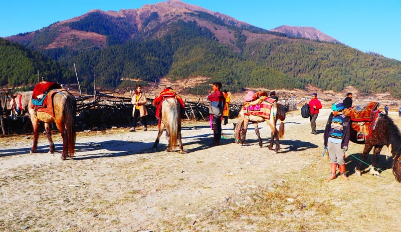 चिसो याममा पनि ढोरपाटनमा पर्यटकको चहलपहल