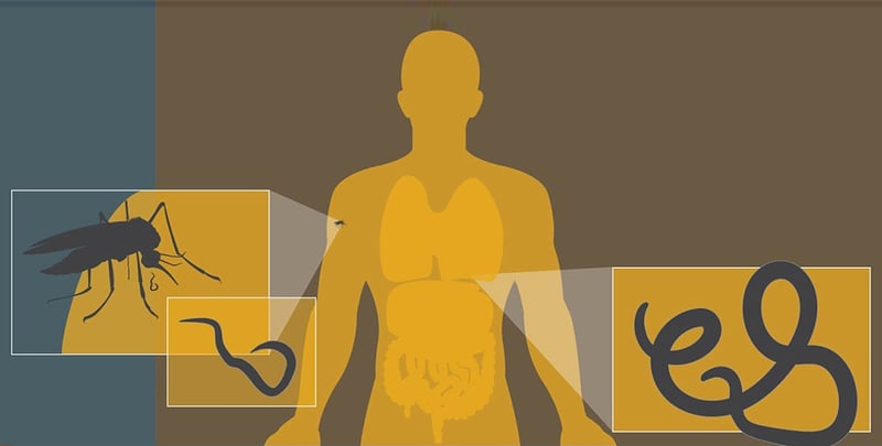 सुदूरपश्चिममा उपेक्षित उष्णप्रदेशीय रोगको संक्रमण बढ्दो