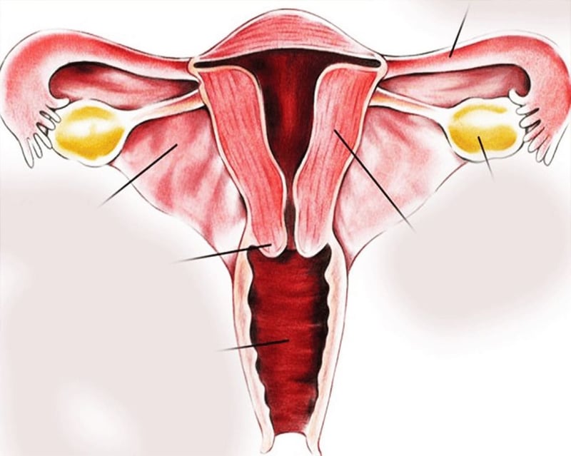 पाठेघर खस्ने समस्या भएका बिरामी अझै उपचार गर्न अस्वीकार गर्छन्