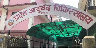 प्रदेश आयुर्वेद चिकित्सालय दमौलीबाट १६ हजारभन्दा बढीले लिए सेवा