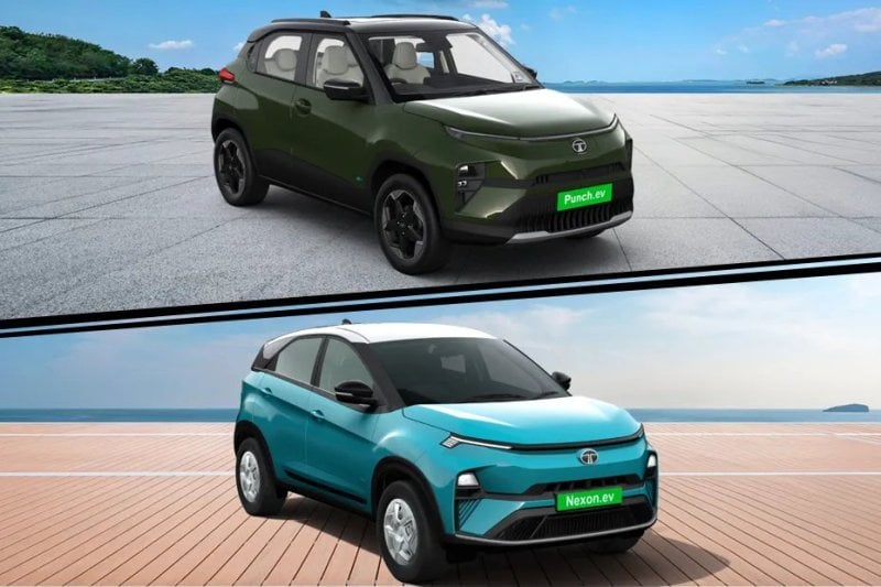 भारतमा नयाँ वर्षमै टाटाको दबदबा, बिक्रीमा नेक्सन अगाडि