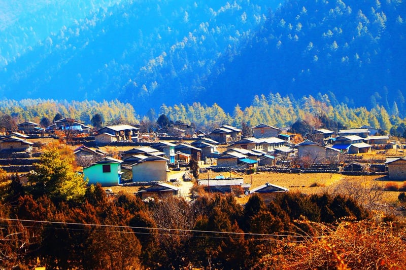 ढोरपाटनका विकट बस्तीमा पहिलोपटक पुग्यो केन्द्रीय लाइन,स्थानिय हर्षित्