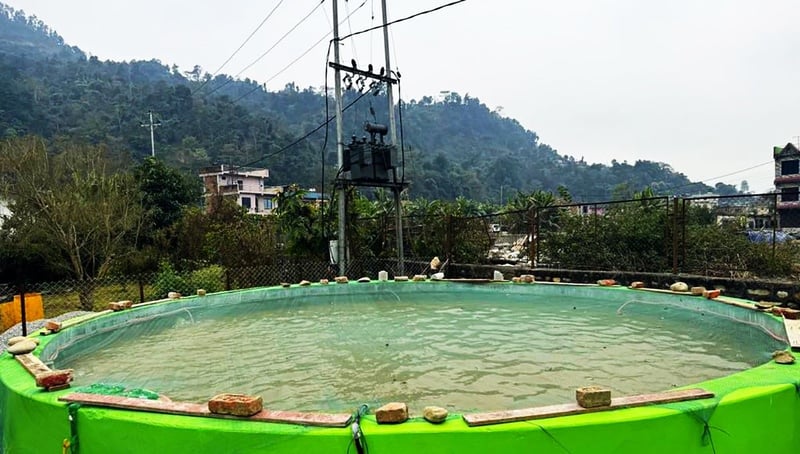 मादी नदी क्षेत्रमा मत्स्य संरक्षण परियोजना कार्यान्वयन