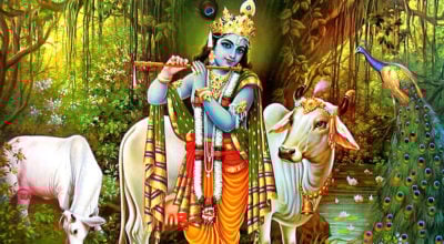 बुधबार श्रीकृष्णको पूजा गर्नुहोस्