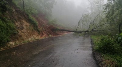 वर्षाका कारण सडक अवरुद्ध, विद्युत् सेवा प्रभावित