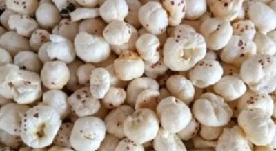 झापाको कचनकवलमा मखनाखेती