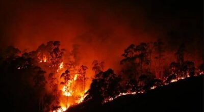 जुम्लामा ३३०.२८ हेक्टरमा डढेलोबाट वन क्षति