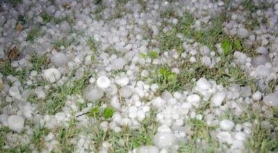 असिनाले फलफूल र तरकारी बालीमा क्षति