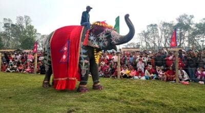 चितवनको पर्याय बन्दै ‘हात्ती तथा पर्यटन महोत्सव’