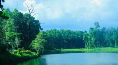 पर्यटकको रोजाइमा सुनसरीको वेतना सिमसार