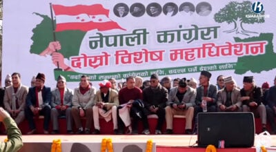 कांग्रेस विशेष महाधिवेशनमा संस्थापन पक्षका को-को नेता पुगे ?