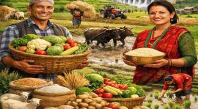 कृषि तथा खाद्य : आत्मनिर्भरता, ग्रामीण समृद्धि र राष्ट्रको आधारभूत शक्ति